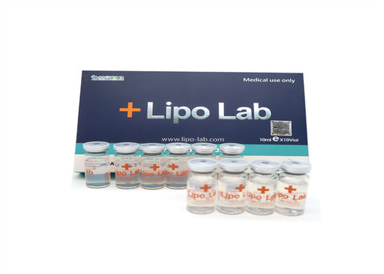 지방 용해 리포랩 PPC 리폴리시 주사 복부 10*8ml