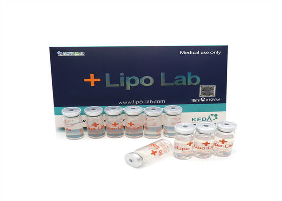 지방 용해 리포랩 PPC 리폴리시 주사 복부 10*8ml